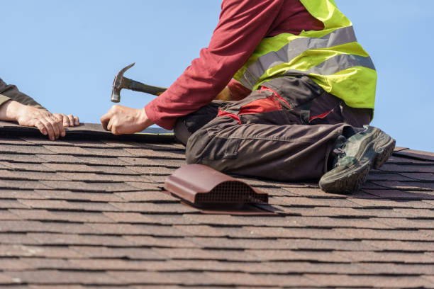 Best Storm Damage Roof Repair  in Shinnston, WV