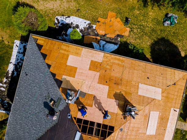 Best Roof Waterproofing Services  in Shinnston, WV